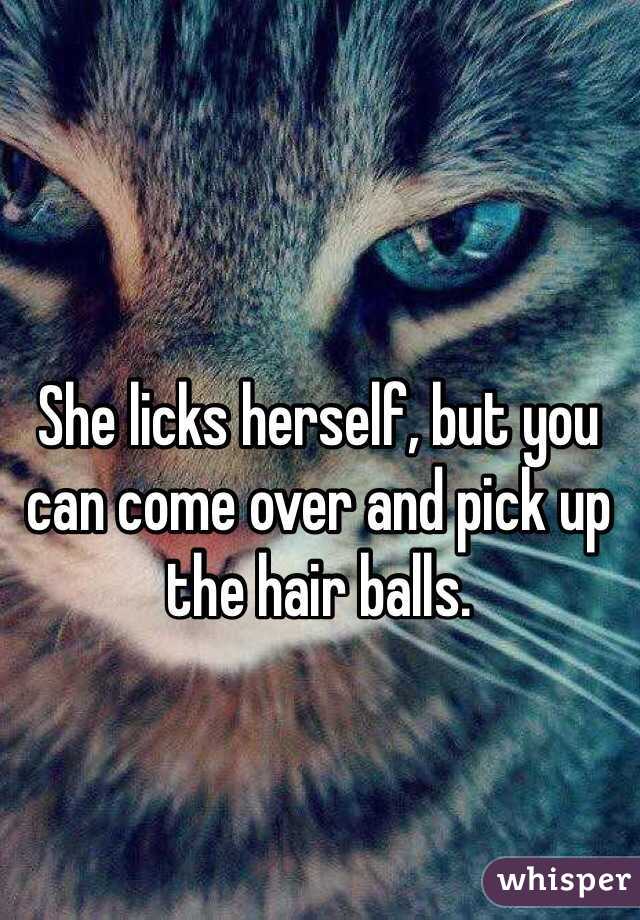 She licks herself, but you can come over and pick up the hair balls.