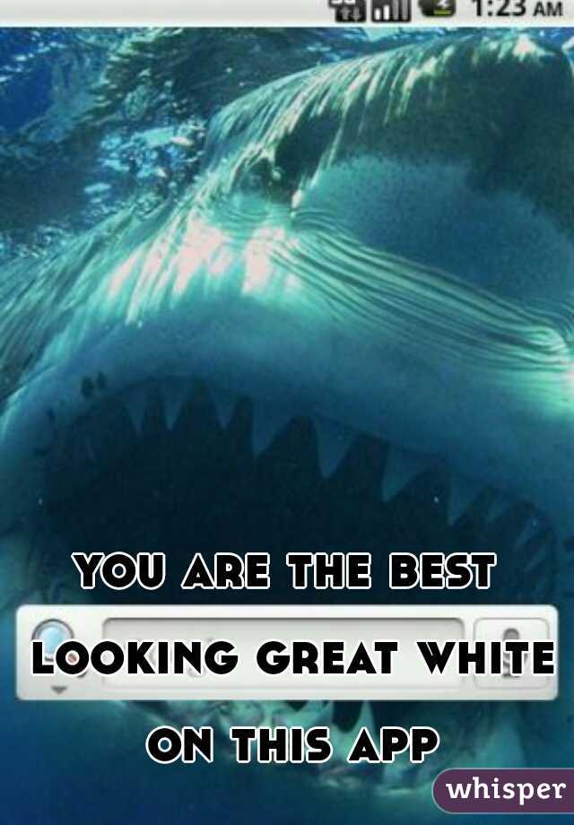 you are the best looking great white on this app