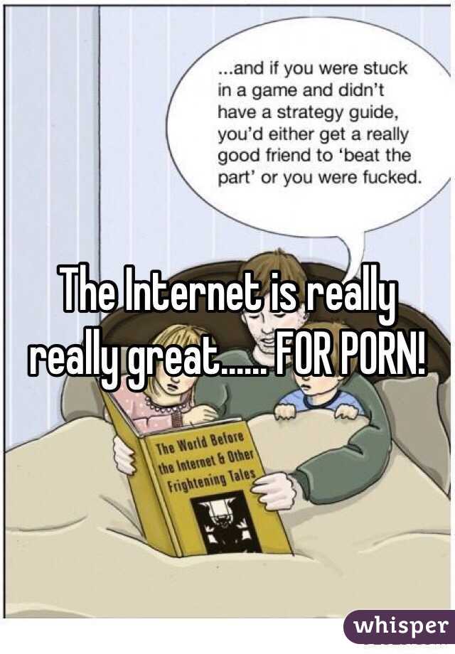 The Internet is really really great...... FOR PORN!