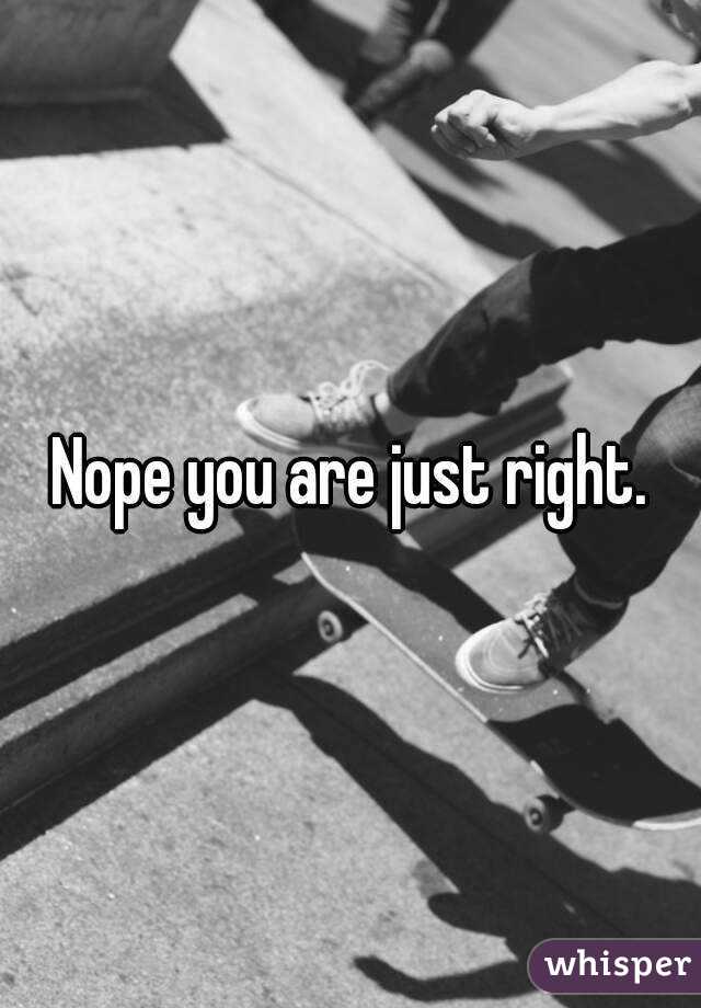 Nope you are just right.