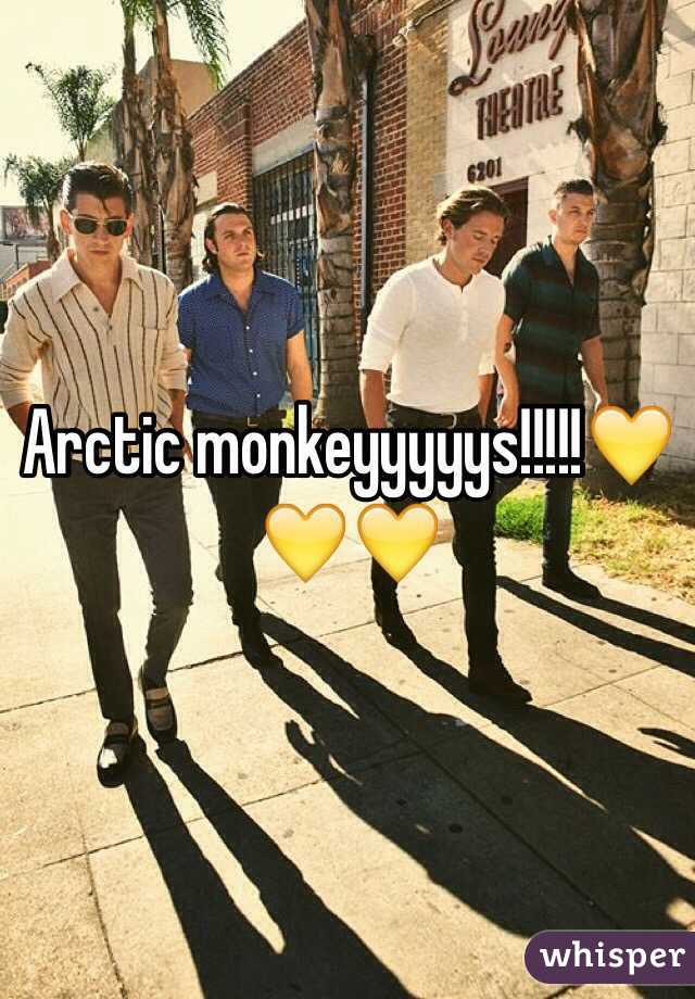 Arctic monkeyyyyys!!!!!💛💛💛