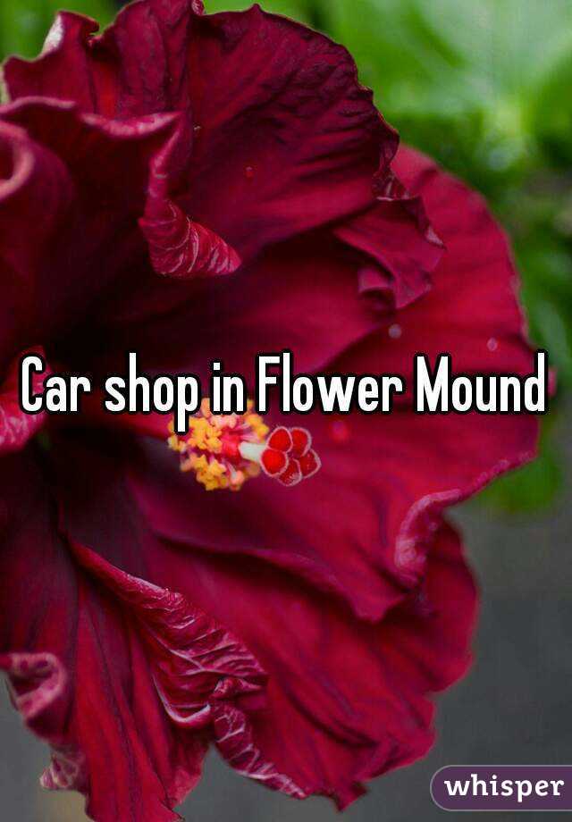 Car shop in Flower Mound