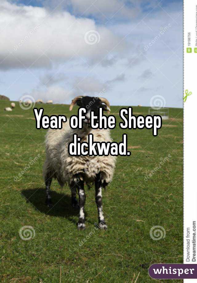 Year of the Sheep dickwad.