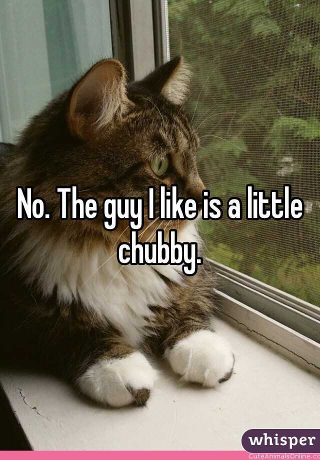 No. The guy I like is a little chubby. 