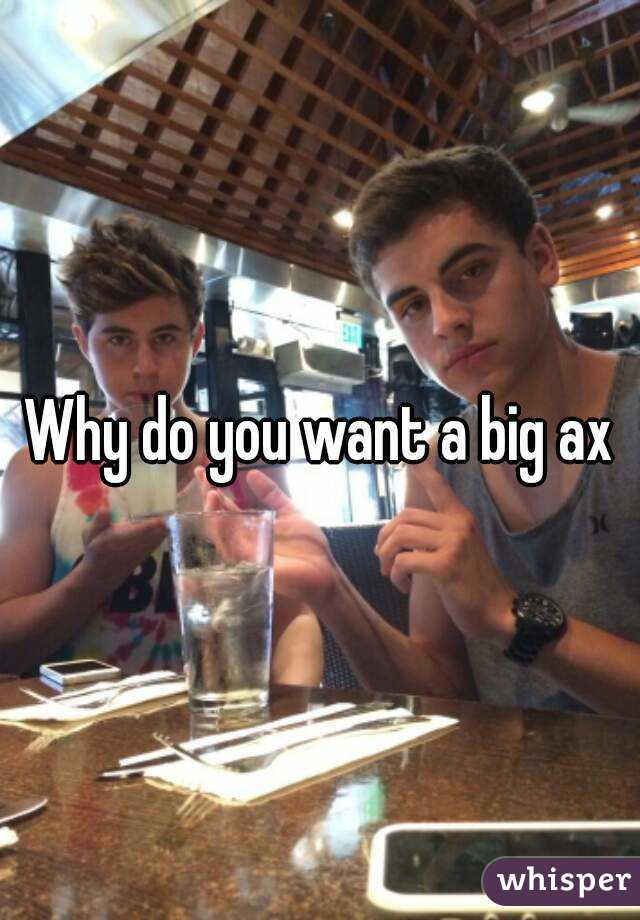 Why do you want a big ax