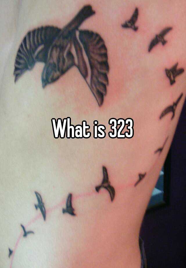 what-is-323