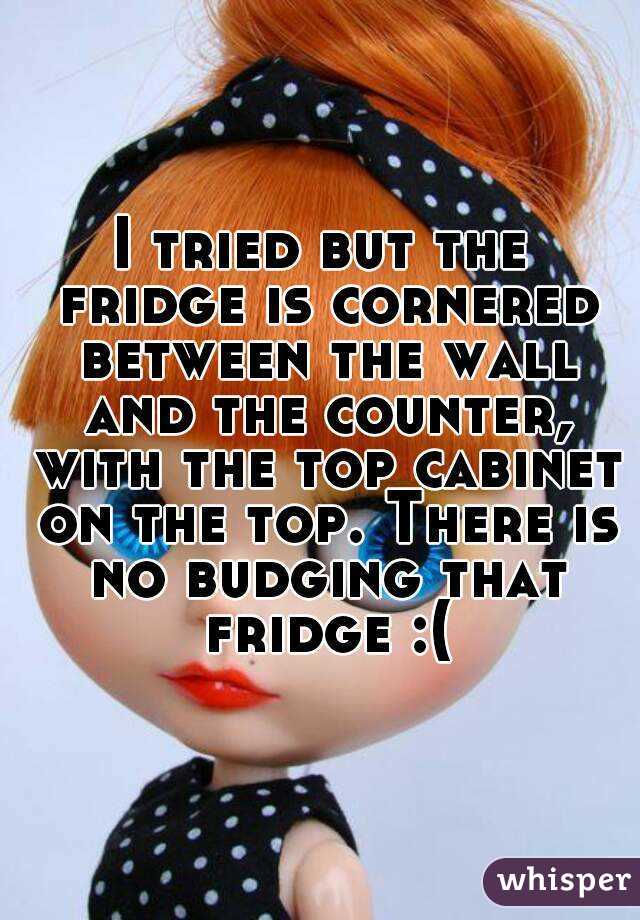 I tried but the fridge is cornered between the wall and the counter, with the top cabinet on the top. There is no budging that fridge :(