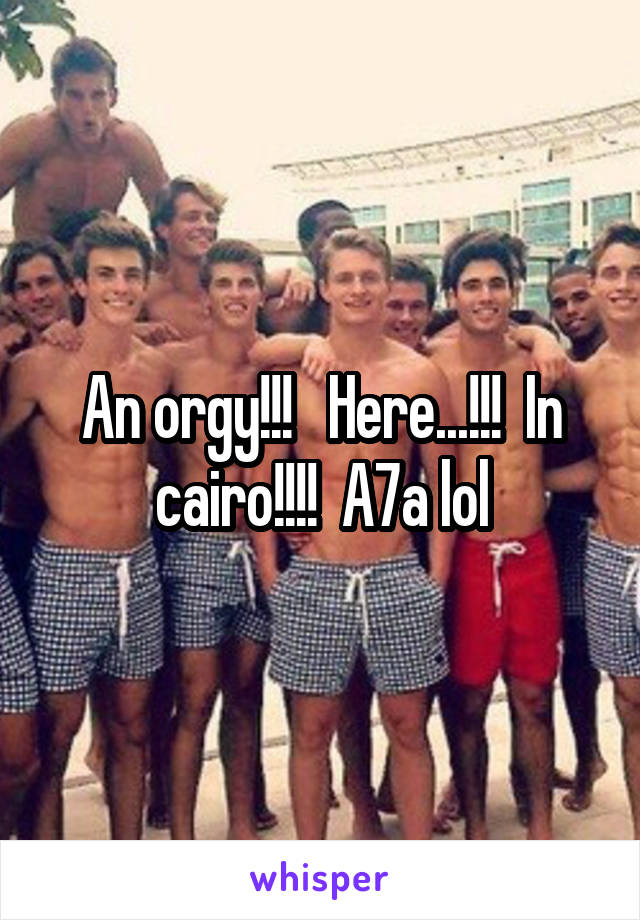 An orgy!!!   Here...!!!  In cairo!!!!  A7a lol