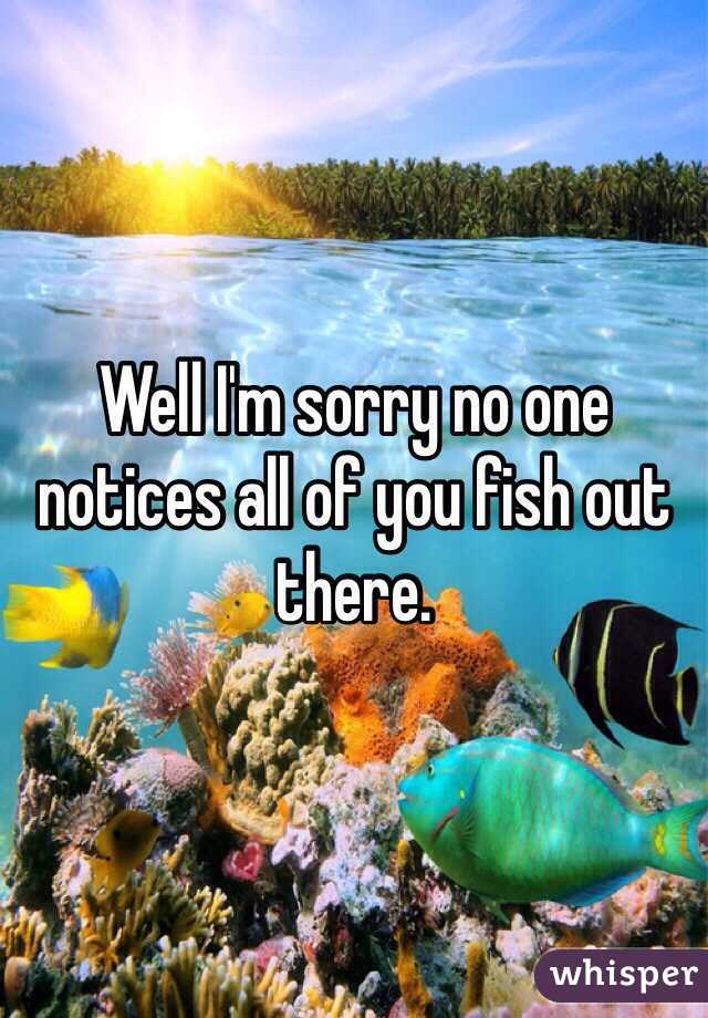 Well I'm sorry no one notices all of you fish out there. 