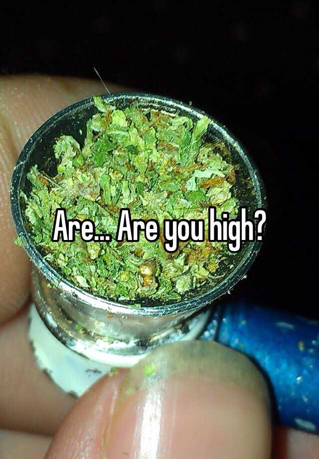 are-are-you-high