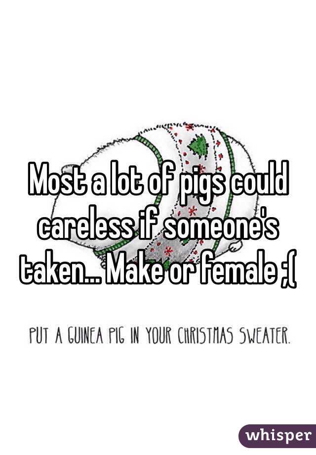 Most a lot of pigs could careless if someone's taken... Make or female ;(