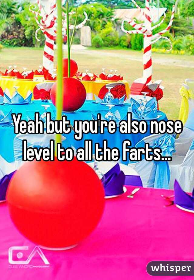 Yeah but you're also nose level to all the farts...