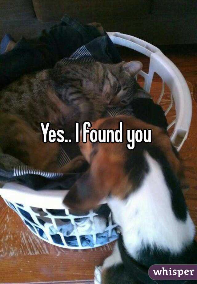 Yes.. I found you 