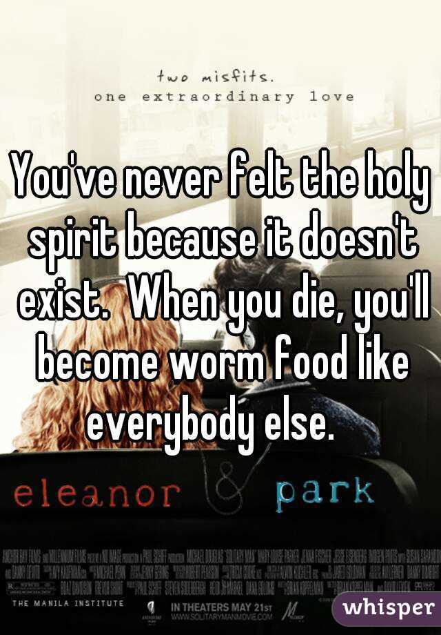 You've never felt the holy spirit because it doesn't exist.  When you die, you'll become worm food like everybody else.   