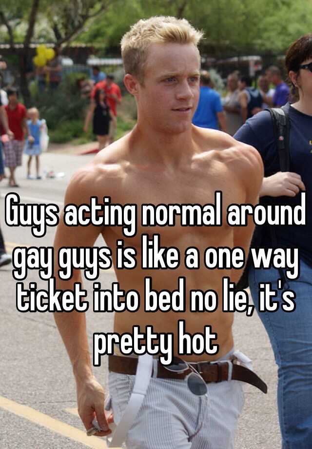 Normal Gay Guys 52