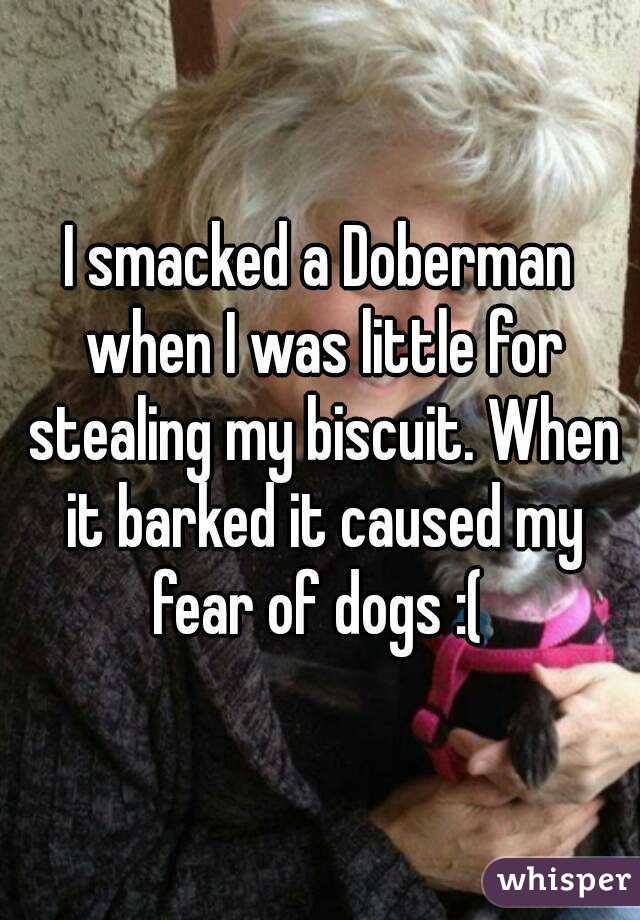 I smacked a Doberman when I was little for stealing my biscuit. When it barked it caused my fear of dogs :( 
