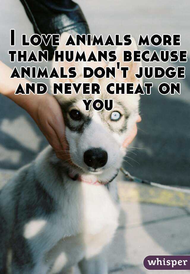 I love animals more than humans because animals don't judge and never cheat  on you