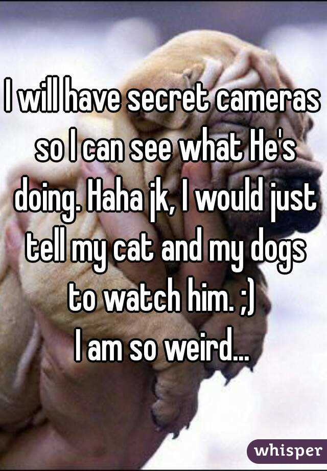 I will have secret cameras so I can see what He's doing. Haha jk, I would just tell my cat and my dogs to watch him. ;) 
I am so weird...