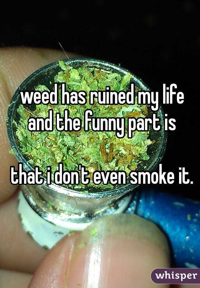 weed has ruined my life
and the funny part is

that i don't even smoke it.
