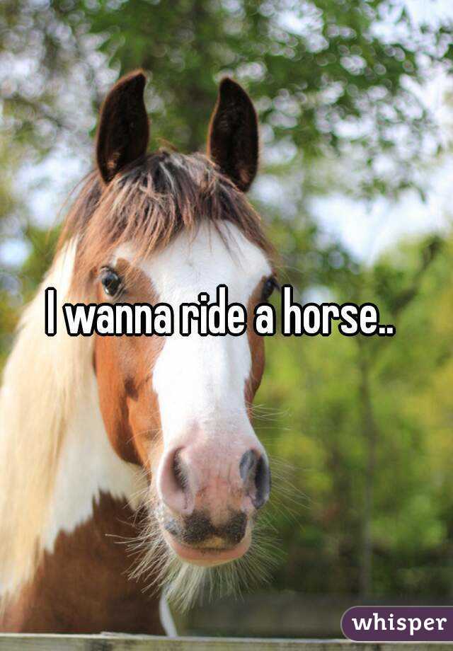 I wanna ride a horse.. 
