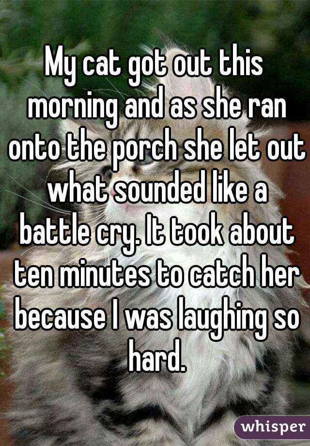 My cat got out this morning and as she ran onto the porch she let out what sounded like a battle cry. It took about ten minutes to catch her because I was laughing so hard.