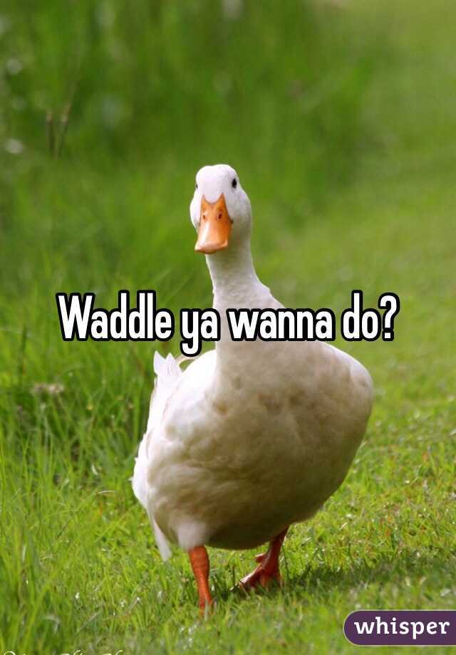 Waddle ya wanna do?