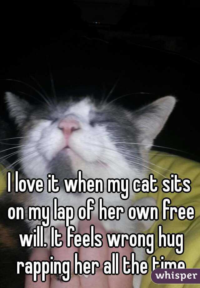 I love it when my cat sits on my lap of her own free will. It feels wrong hug rapping her all the time