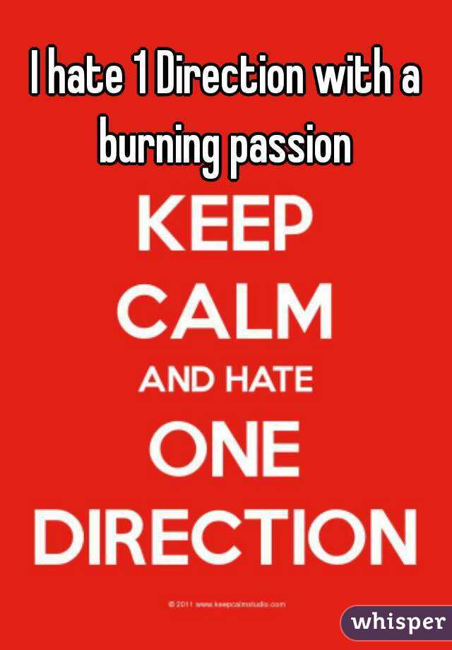 I hate 1 Direction with a burning passion 