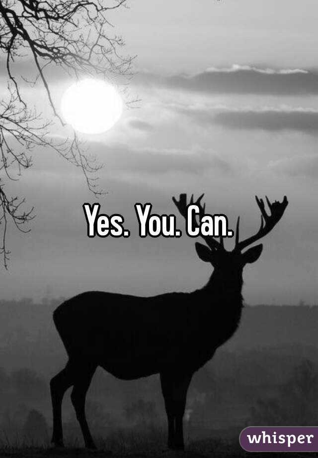 Yes. You. Can.