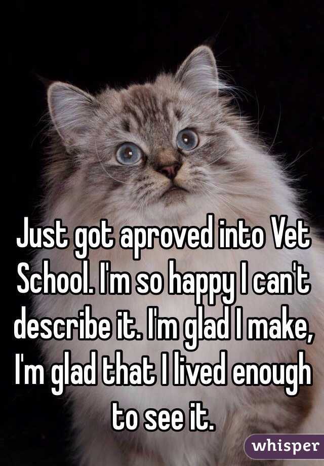 Just got aproved into Vet School. I'm so happy I can't describe it. I'm glad I make, I'm glad that I lived enough to see it. 