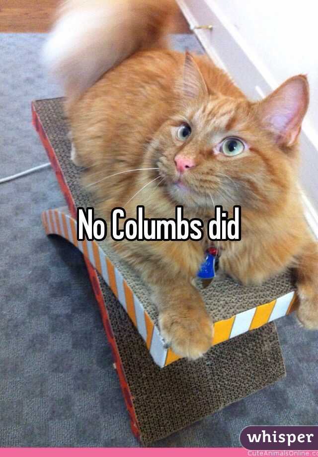 No Columbs did