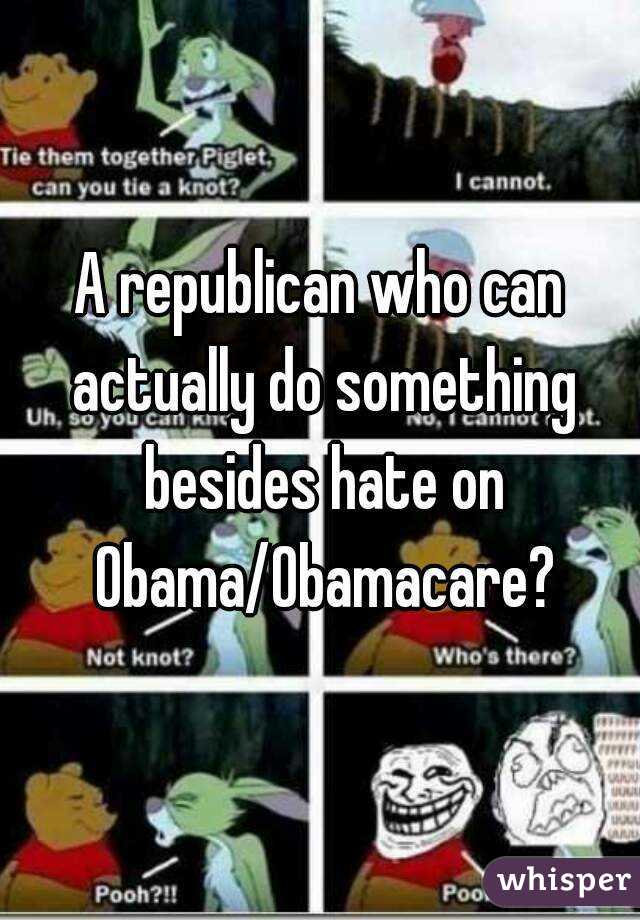 A republican who can actually do something besides hate on Obama/Obamacare?