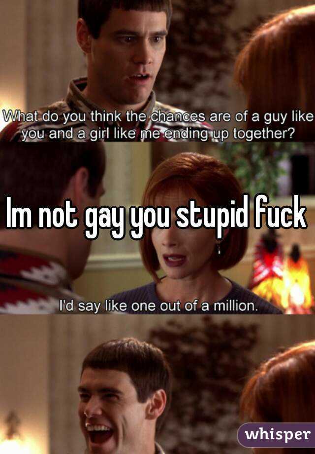 Im not gay you stupid fuck