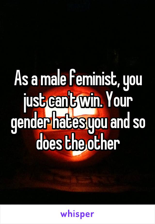 As a male feminist, you just can't win. Your gender hates you and so does the other
