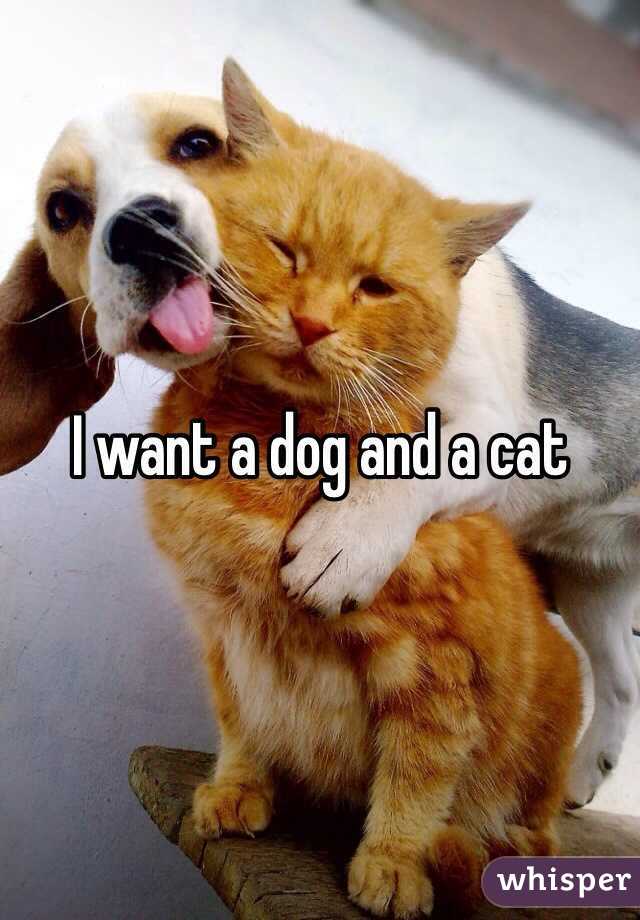 I want a dog and a cat