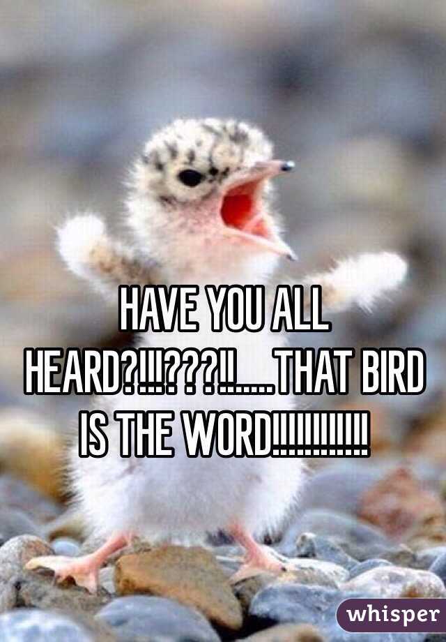 HAVE YOU ALL HEARD?!!!???!!.....THAT BIRD IS THE WORD!!!!!!!!!!!!