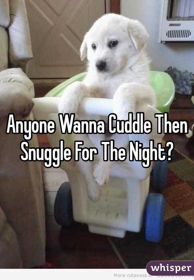 Anyone Wanna Cuddle Then Snuggle For The Night?