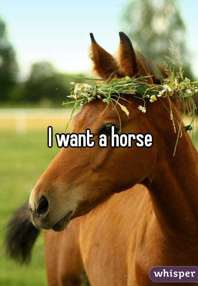  I want a horse