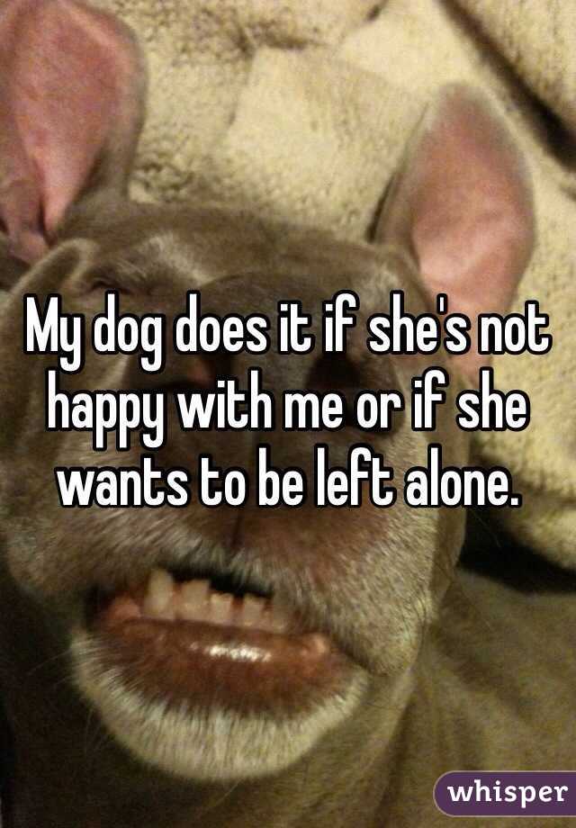My dog does it if she's not happy with me or if she wants to be left alone. 