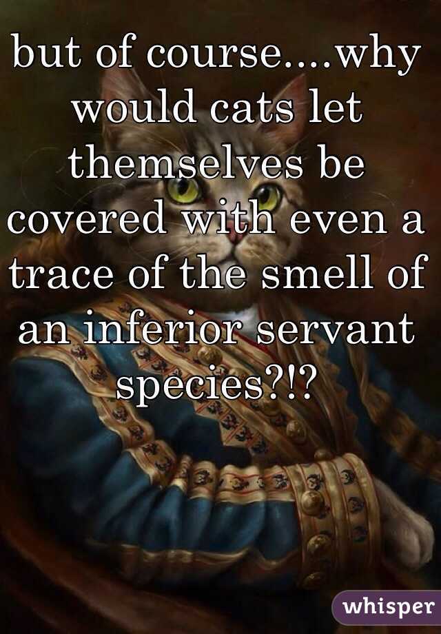 but of course....why would cats let themselves be covered with even a trace of the smell of an inferior servant species?!?