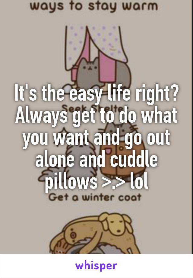 It's the easy life right? Always get to do what you want and go out alone and cuddle pillows >.> lol