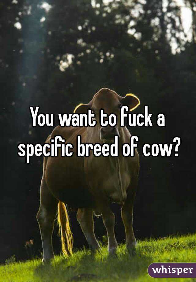 You want to fuck a specific breed of cow?