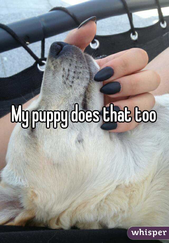 My puppy does that too