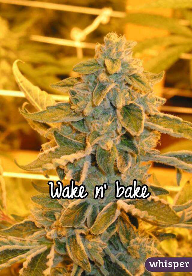 Wake n' bake 