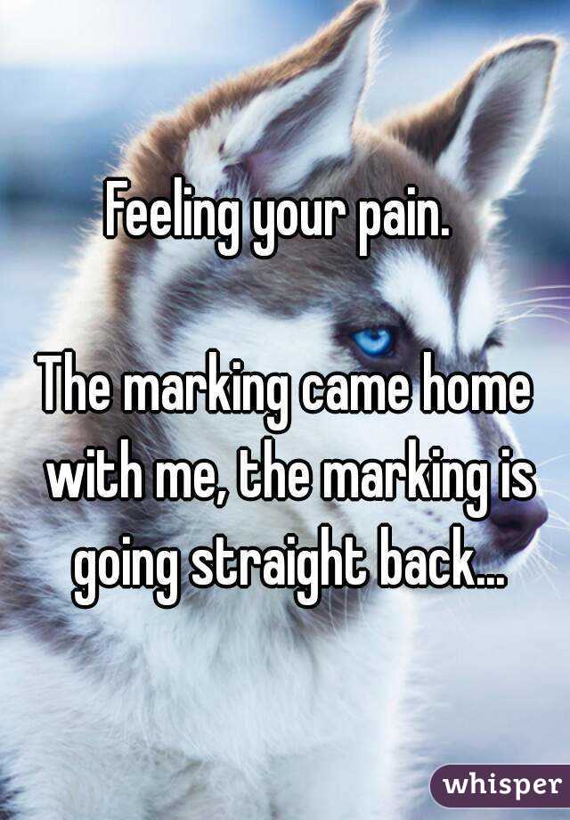 Feeling your pain. 
   
The marking came home with me, the marking is going straight back...