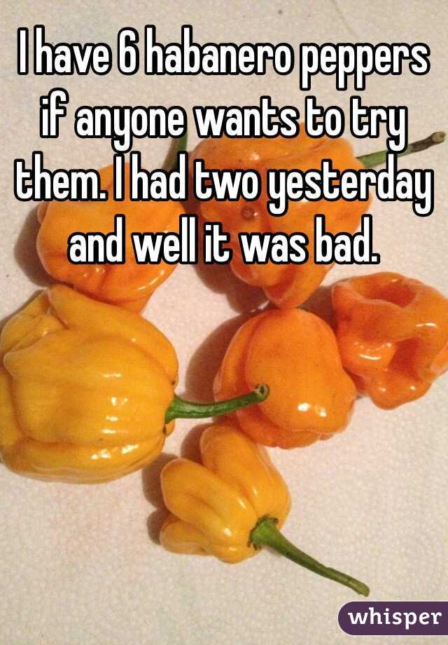 I have 6 habanero peppers if anyone wants to try them. I had two yesterday and well it was bad. 