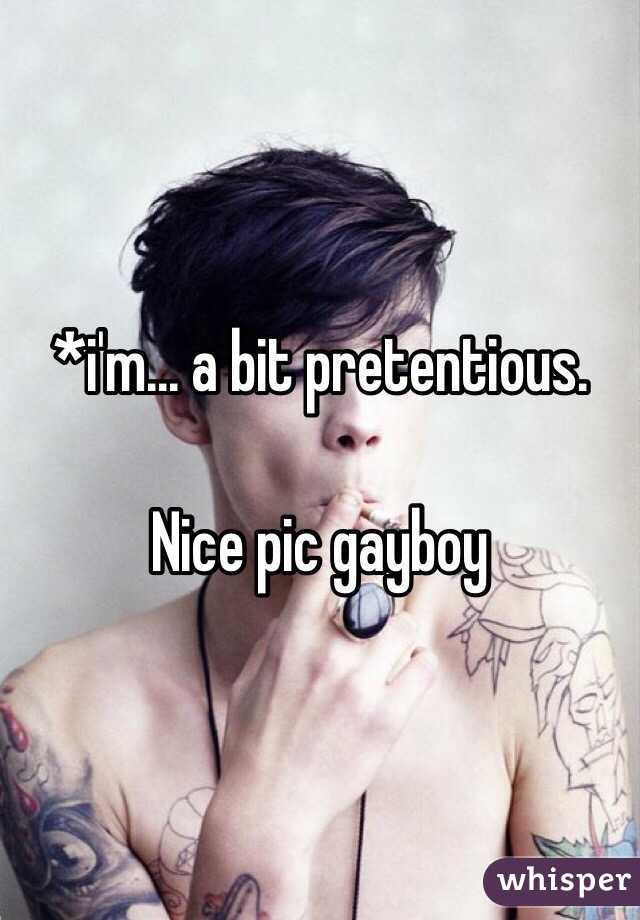 *i'm... a bit pretentious.

Nice pic gayboy  