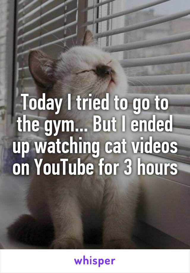 Today I tried to go to the gym... But I ended up watching cat videos on YouTube for 3 hours