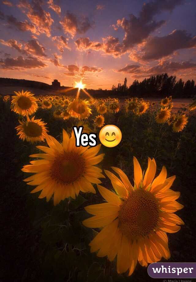 Yes😊