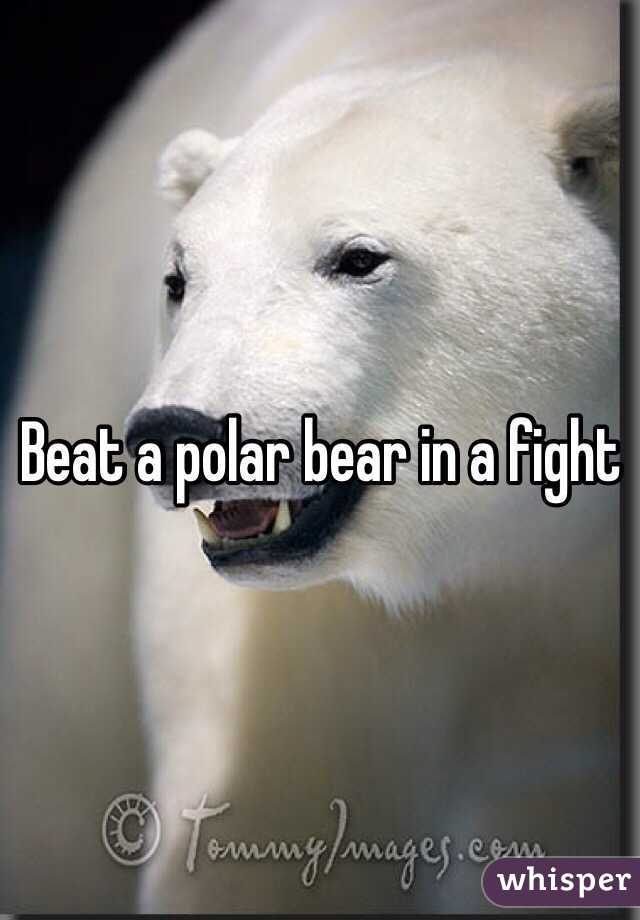 Beat a polar bear in a fight